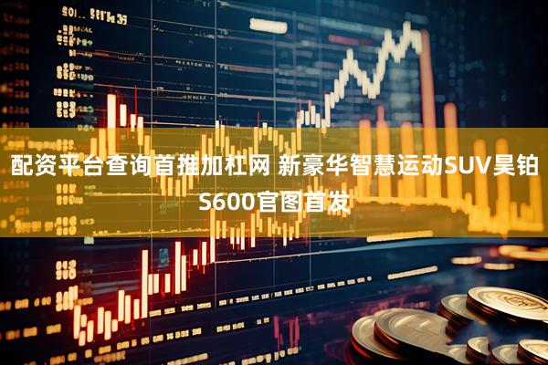配资平台查询首推加杠网 新豪华智慧运动SUV昊铂S600官图首发